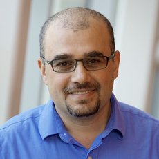 Wael Suleiman